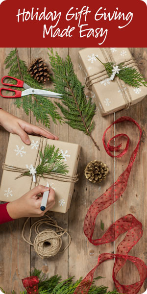 Holiday Gift Holiday Gift
